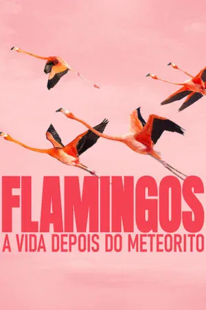 Flamingos: A Vida Depois do Meteorito (2026)